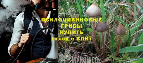амфетамин Белокуриха