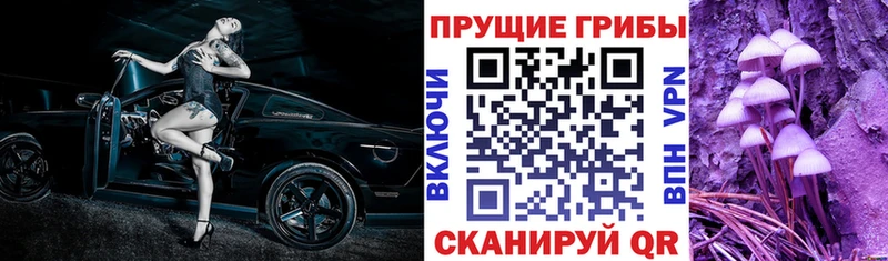 MEGA как зайти  дарк нет официальный сайт  Псилоцибиновые грибы мухоморы  Северская 